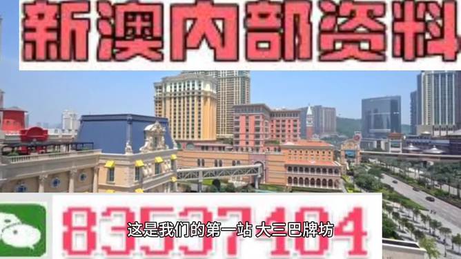 2024澳门正版免费精准资料-精选解释解析落实