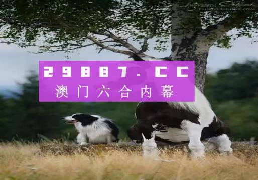 澳门今晚必开一肖1,准确资料解释落实