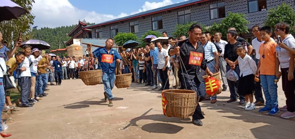 嘉陵区世阳镇，最新发展动态与消息